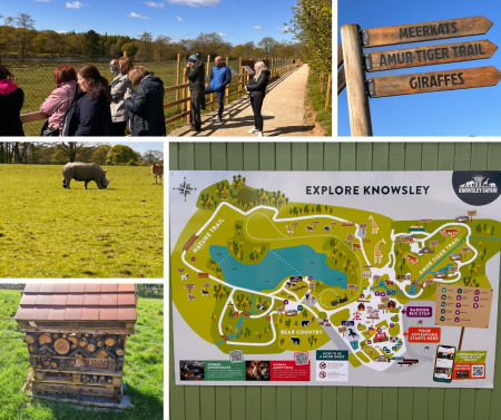 People enjoying wellbeing activities  and looking at animals at Knowsley Safari Park