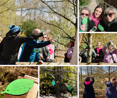 Mindfulness activities for NHS staff at Knowsley Safari Park