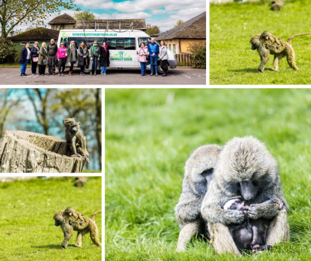 Wellbeing Through Wildlife 