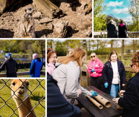 People feeding the animals at Knowsley Safari Park